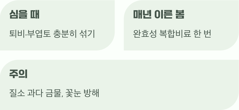 쑥쑥 자라게 할 영양 공급