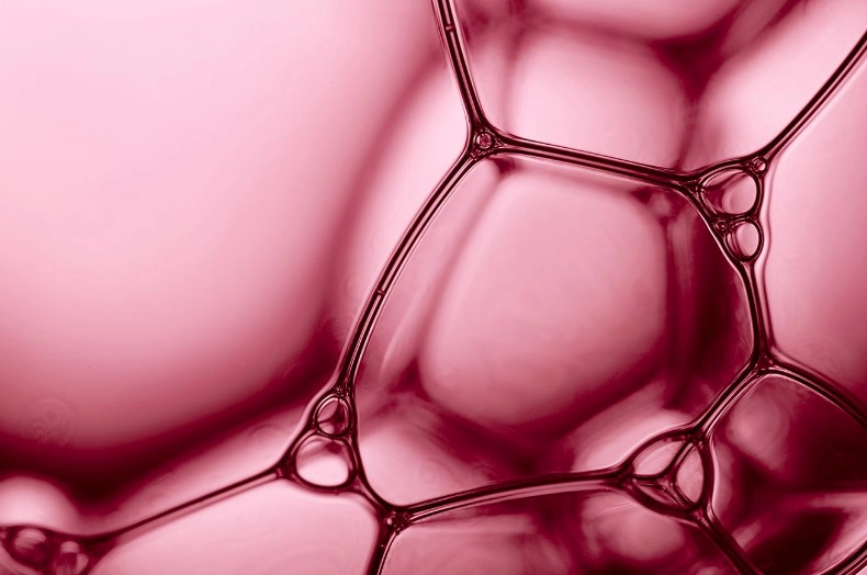 밀크 세라마이드 효능 부작용 성분 총정리