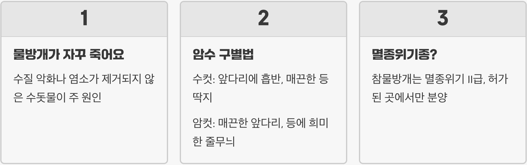 물방개 키우기 A to Z (어항, 먹이, 수질 관리)