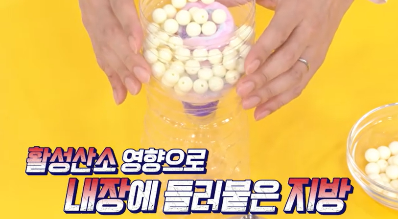 모로실 효능