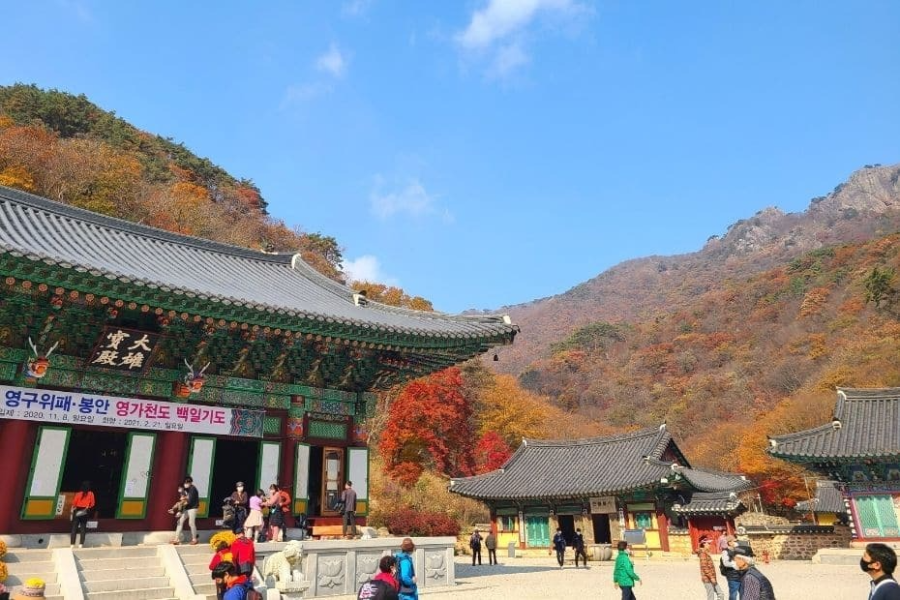 내장산 가을 단풍명소 대표 포토 스팟 베스트 5