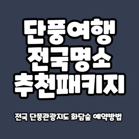 단풍여행-전국지도-명소-추천-관광 패키지-화담숲