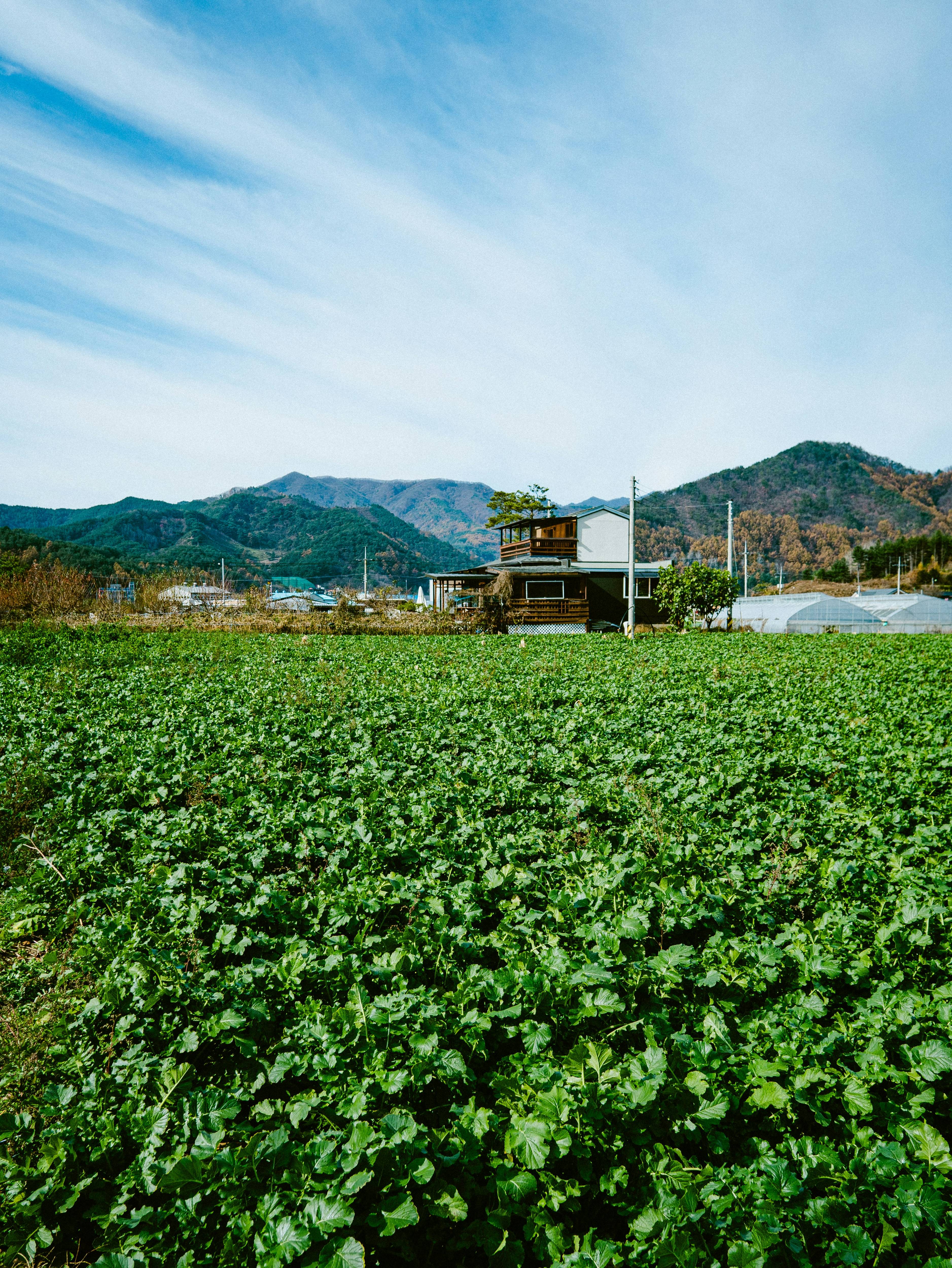농촌 어촌 이미지
