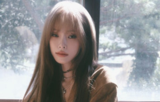 헤이즈 나이 프로필