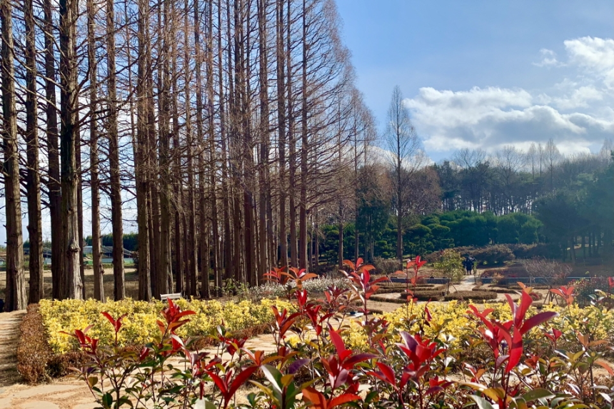 특색있고 아름다운 민간 정원 30선 추천 여행 - 28. 익산 아가페 정원