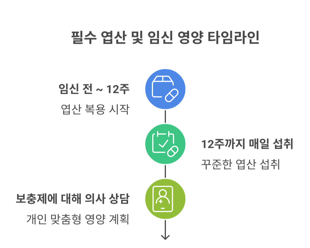 엽산 복용과 임신영양제 가이드