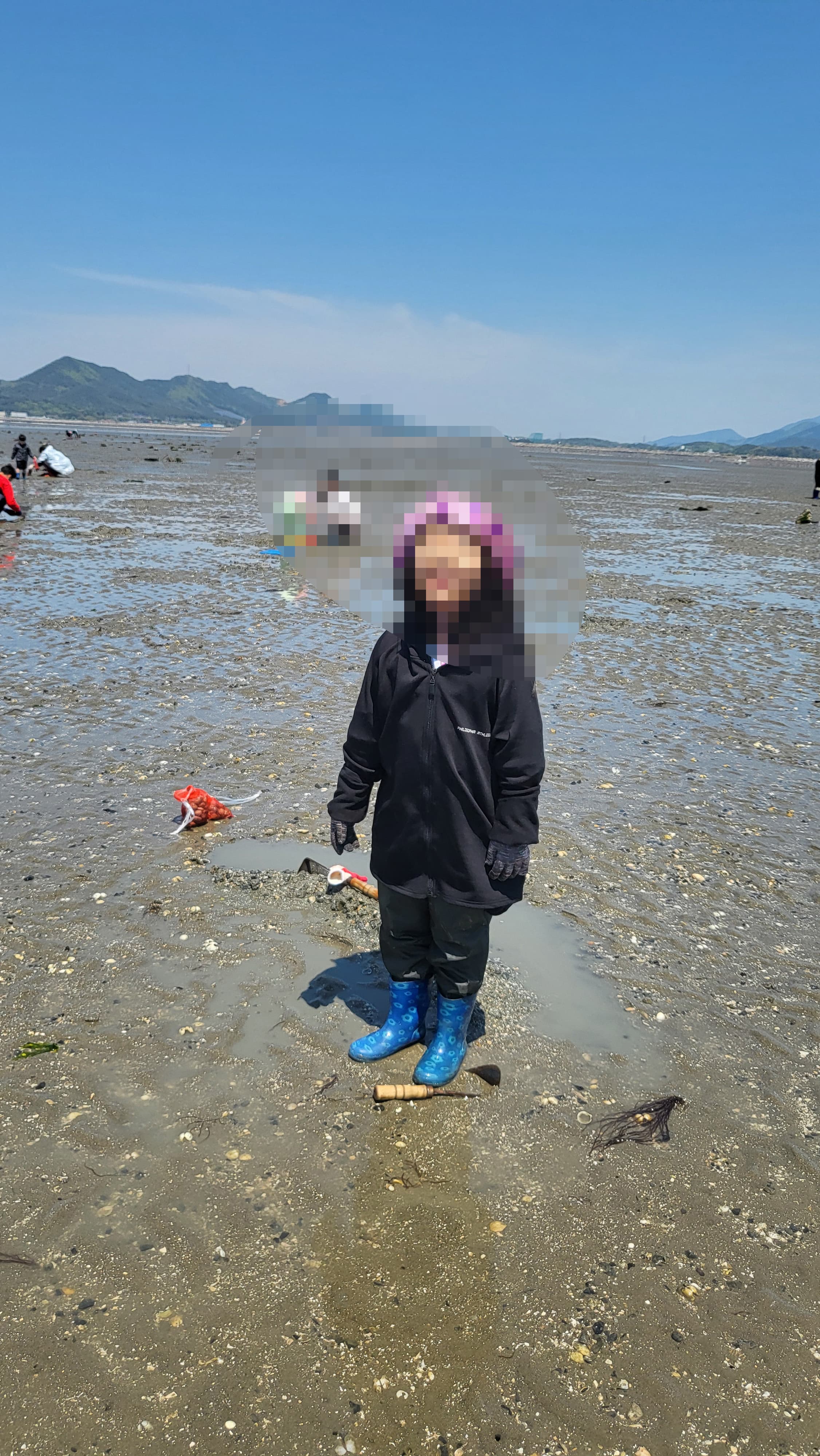 [충남 보령여행] 캐는데로 나오는 갯벌조개체험장이 있다고?? 아이와 함께한 찐후기!