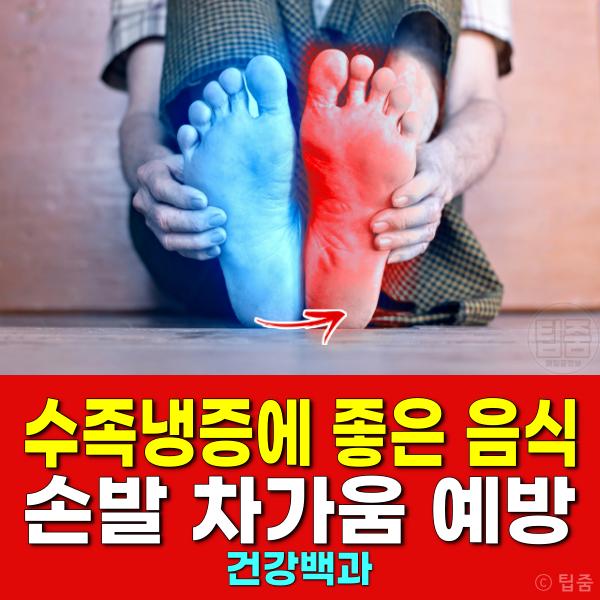 손발 차가움 수족냉증에 좋은 음식