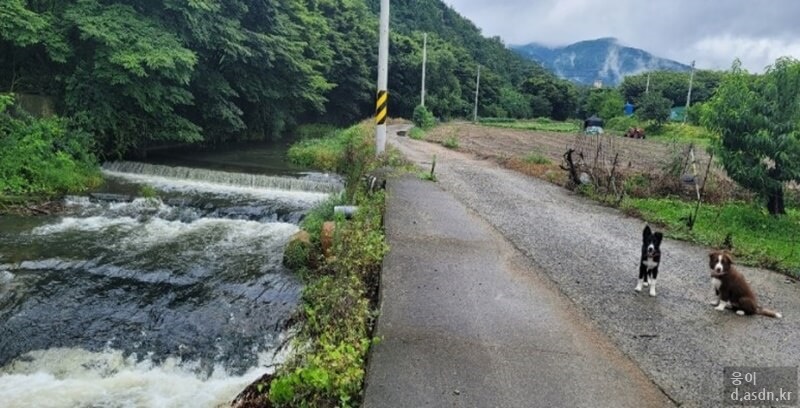 소리꿈 꿈해몽 10가지 태몽 길몽 길운 정리 일곱번째