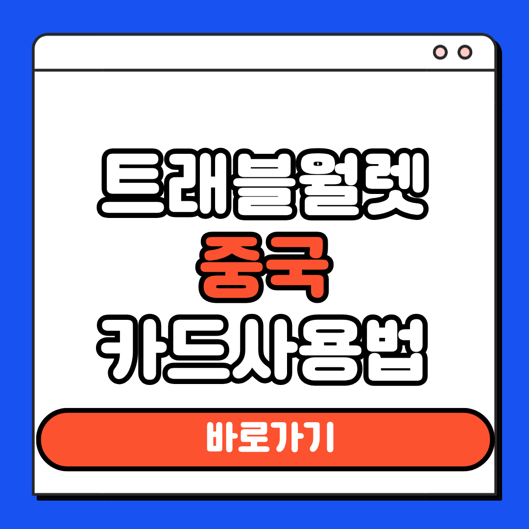 트래블월렛 중국 사용법