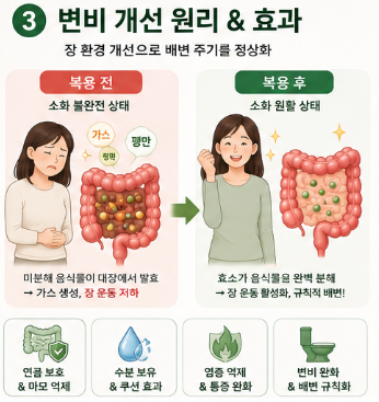 캡슐레이션효소-뜻-내돈내산-변비-효과-성분-복용법