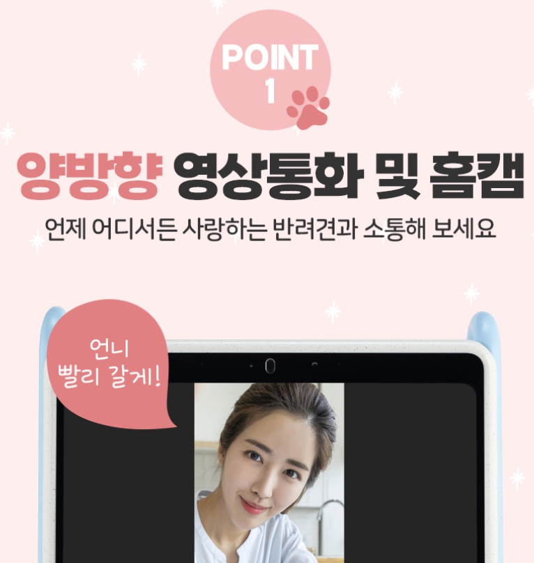 강아지-TV