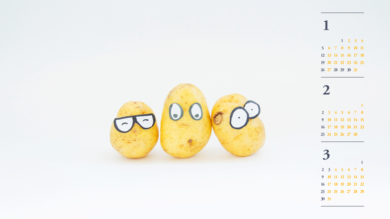 05 감자 B - 2025년2월 노트북배경화면