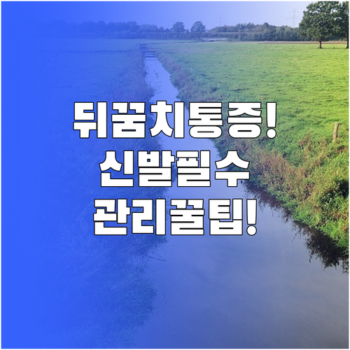 발뒤꿈치 통증 흔한 원인과 신발 선택..