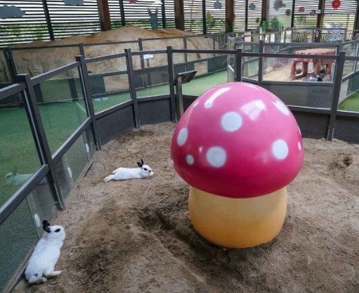 경남 여행지 추천 ❘ 창녕 가볼만한 곳 베스트 10. 산토끼 노래동산