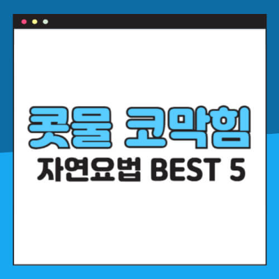 코막힘 자연요법
콧물 없애는 방법
코감기 치료 집에서
생강차 감기 효과
수증기 흡입 코막힘 완화
코 세척 방법
가습기 감기 예방
코막힘에 좋은 음식
콧물 심할 때 관리법
코감기 자연치료