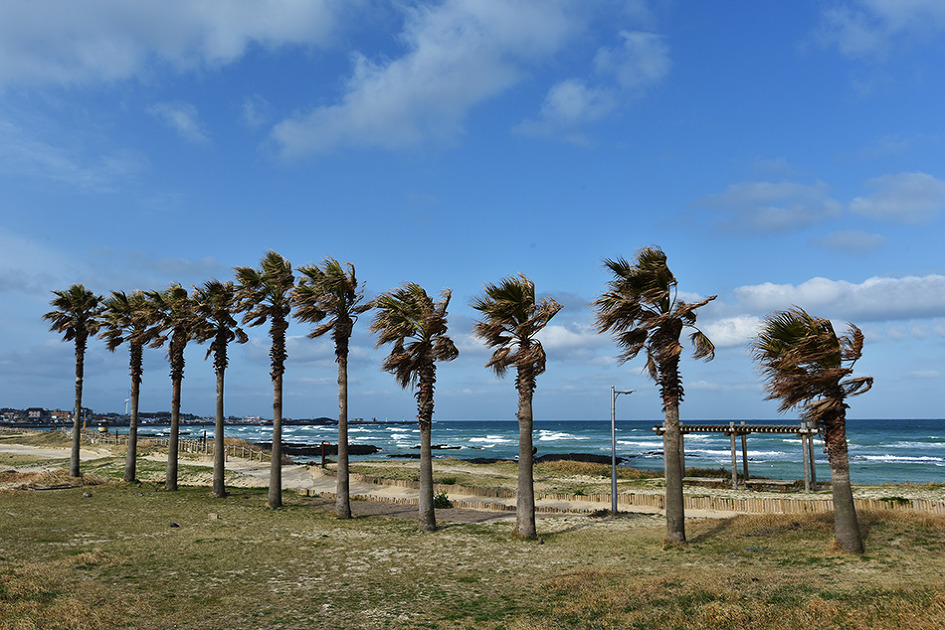 제주도-가볼만한곳-10곳-협재해수욕장3