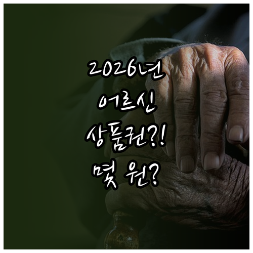 어르신 스포츠 상품권 2026년 지원..
