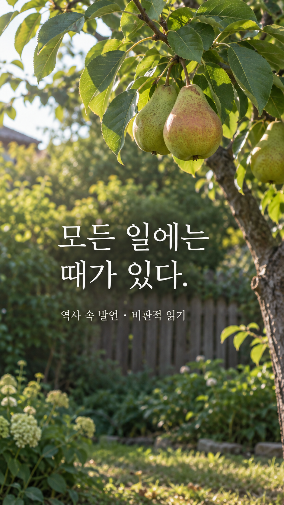 익어 가는 열매와 늦여름 정원 — 모든 일에는 때가 있다.