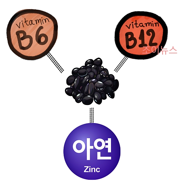 검은콩 핵심 효능, 비타민B군, 아연 등