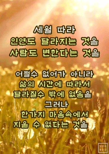 세월에 따라 변하는 인연을 표현하는 따뜻한 분위기의 감성적인 이미지