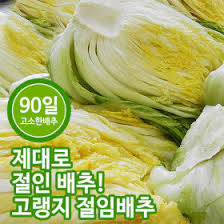 온라인몰 절임배추