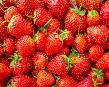 양평딸기 송어축제_19