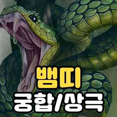 뱀띠 궁합 상극