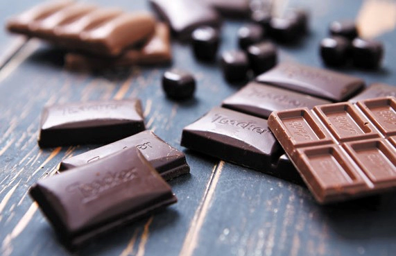 카테킨 많은 음식 