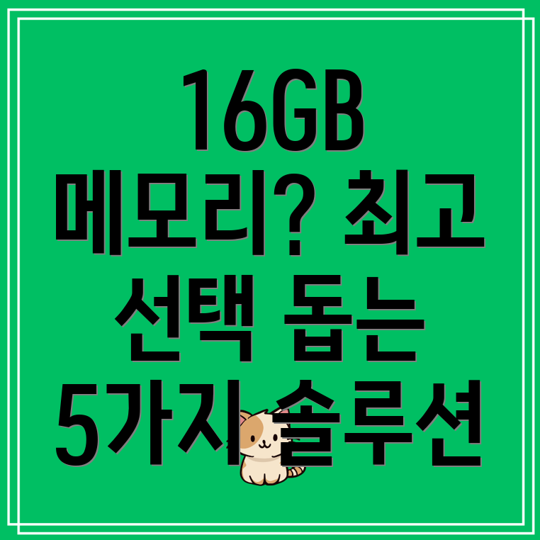 16GB메모리당신의선택을돕는5가지솔루션비교분석