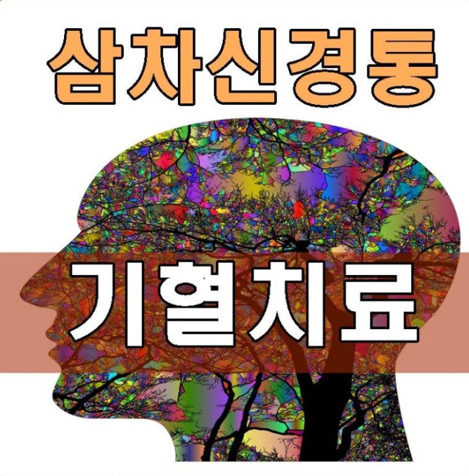 삼차 신경통 한의학적 접근