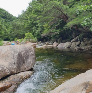 경기도 차박하기좋은곳 TOP 10곳