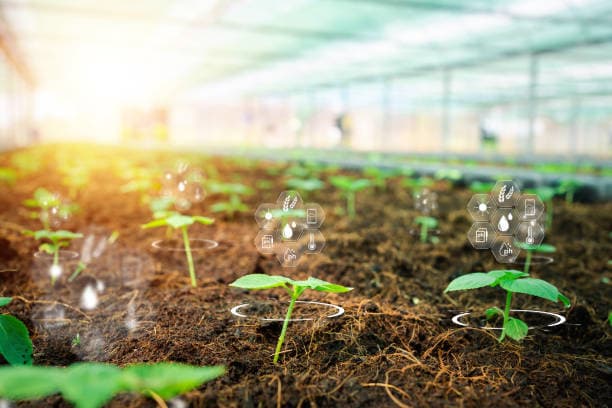 희귀 식물 키우기를 돕는 스마트 기술과 앱 추천