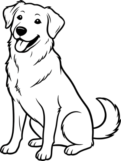 2026년 운세 미리 확인하는 법