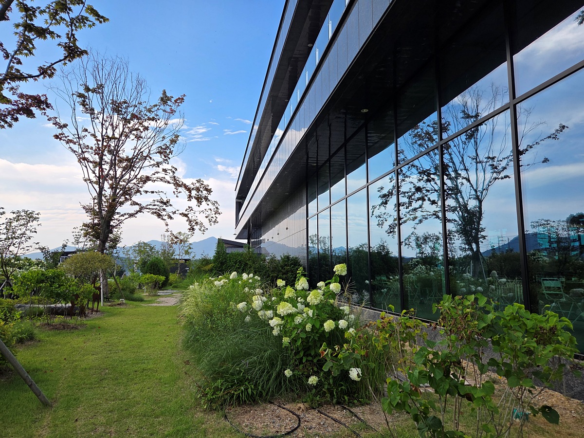 강화도 대형카페 두운리&amp;#44; 초록의 목수국 정원까지 즐기는 강화도 갈만한곳