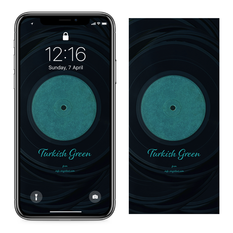 05 빈티지 LP판 C - 청록색배경화면