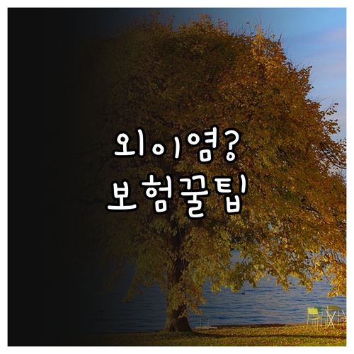 반복되는 외이염 치료비 펫보험으로 줄..