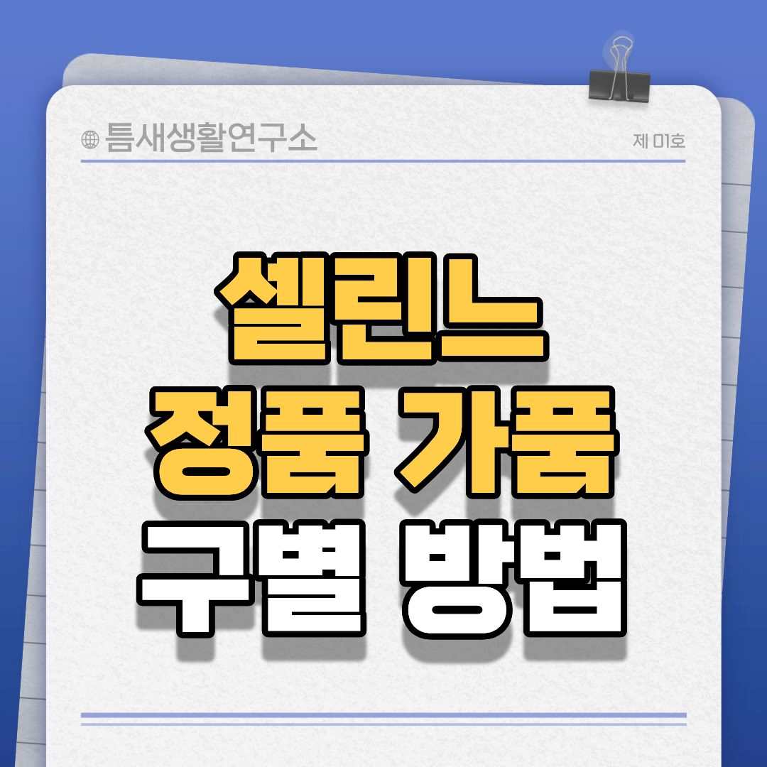 셀린느정품가품-썸네일