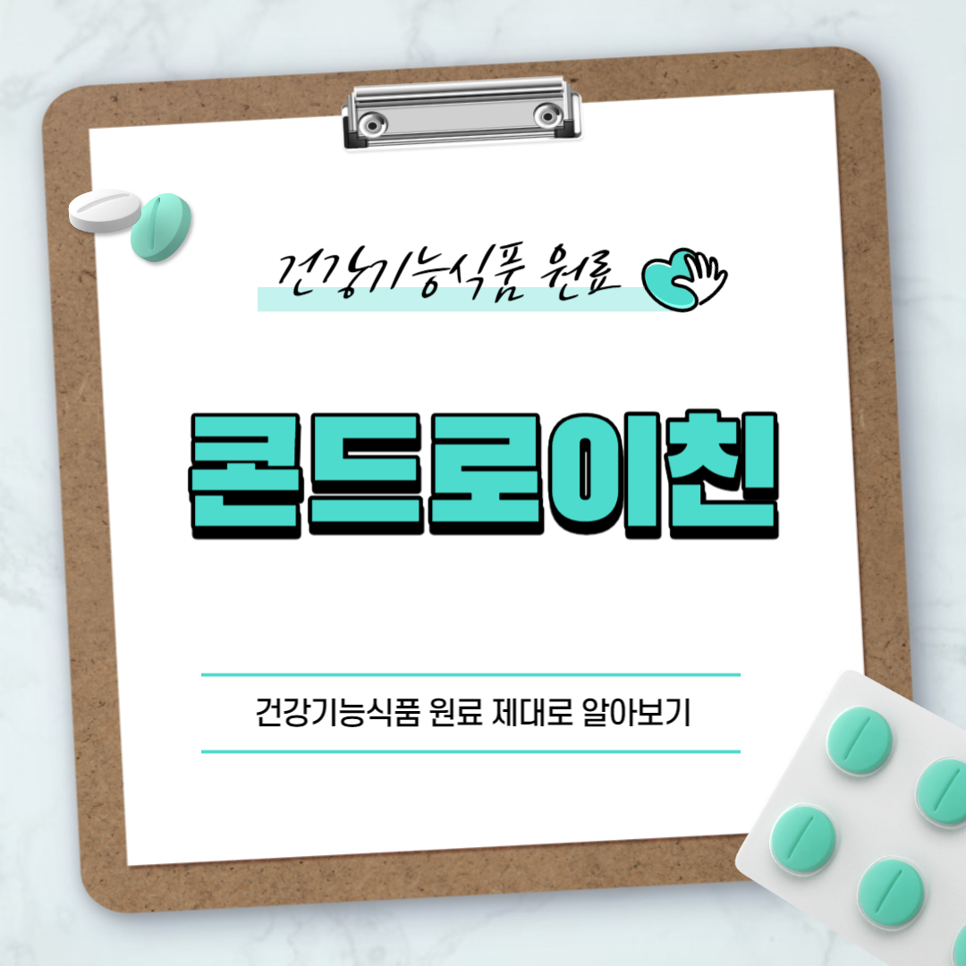 콘드로이친