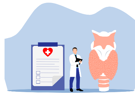 수술 이후 달라진 내 위장 건강, 갑상선과의 숨은 연결고리