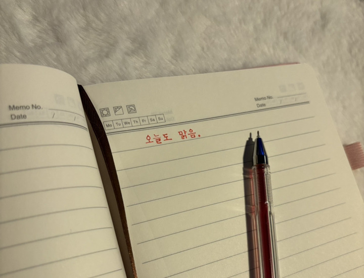 다살래 100억 부자 A5 다이어리 플래너