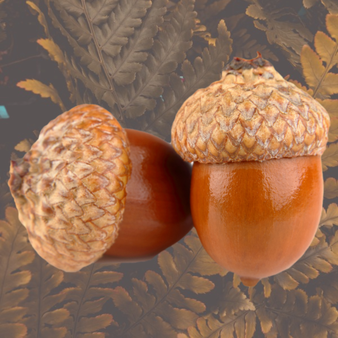 여주와 관련된 사진입니다.