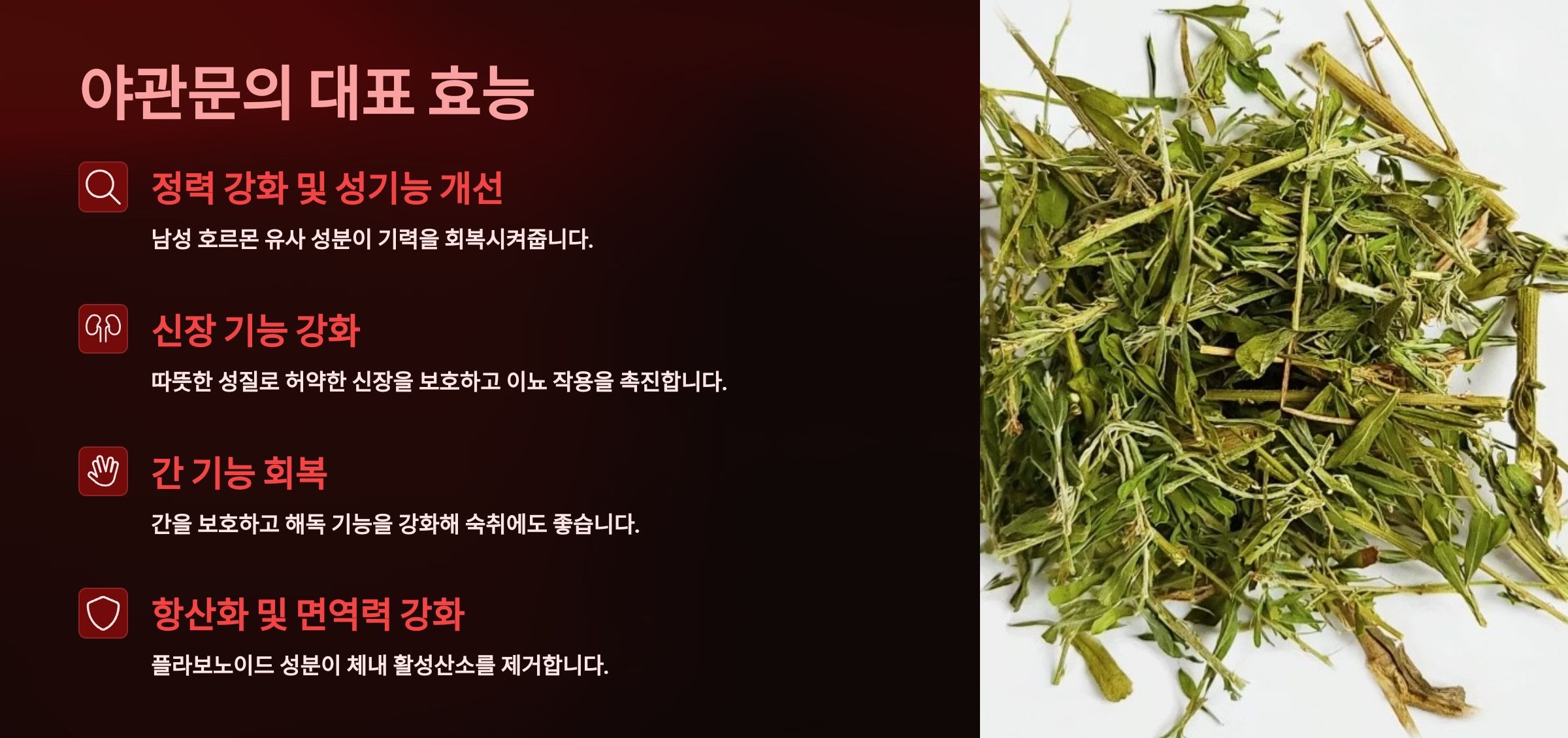 야관문의 대표 효능