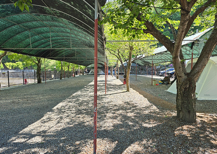 그린하우스캠핑장