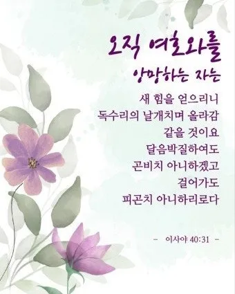 이사야 40장 31절 묵상 - 오직 여호와를 앙망하는 자는 새 힘을 얻으리니_8