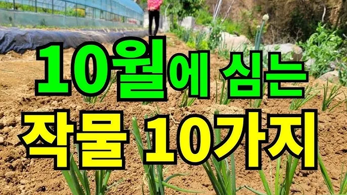 2025년 10월에 파종하기 좋은 작물들 농업 재배법_7