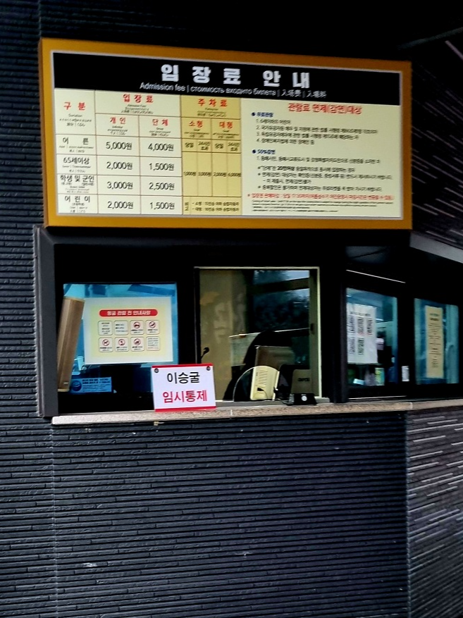 동해 가볼만한곳 천곡황금박쥐동굴 후기 비 오는 날 좋은 실내 여행지