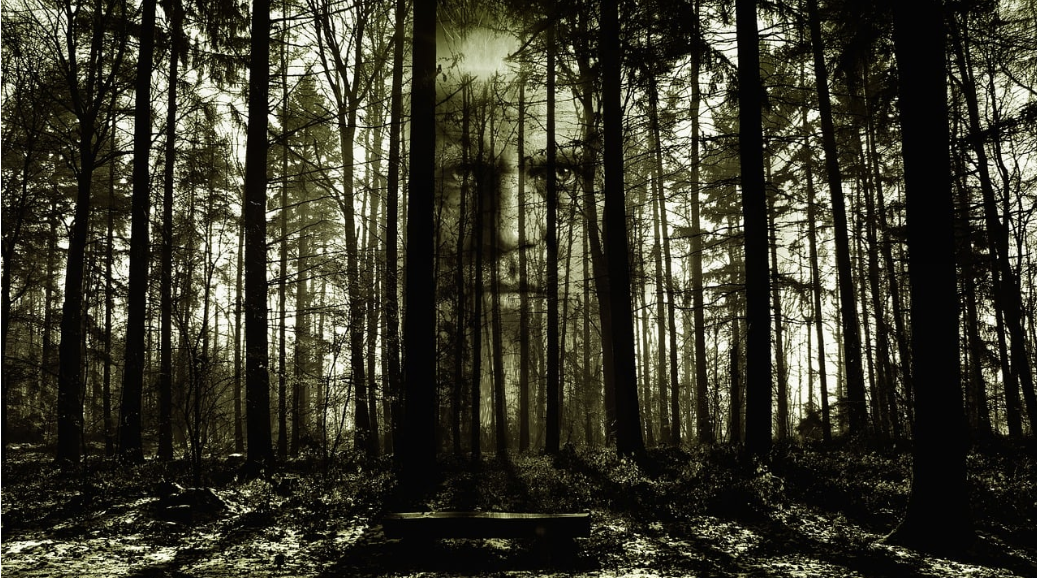 영화 곡성 대체 사진