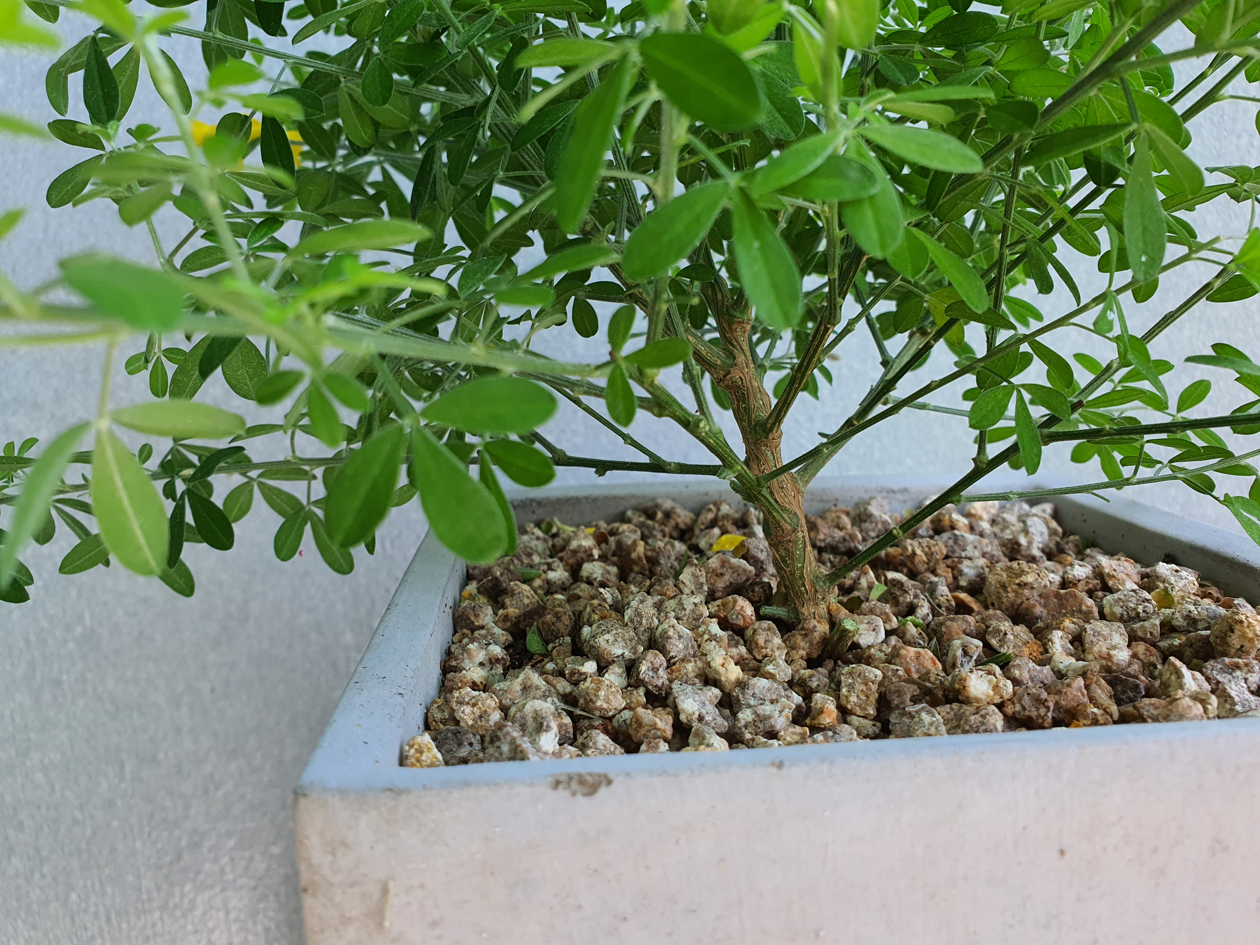 애니시다-2021.04.25.