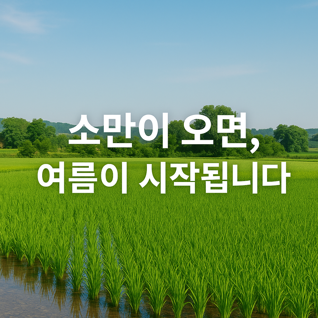 본격적인 여름을 준비하는 문턱, 2025년 소만은 5월 20일
